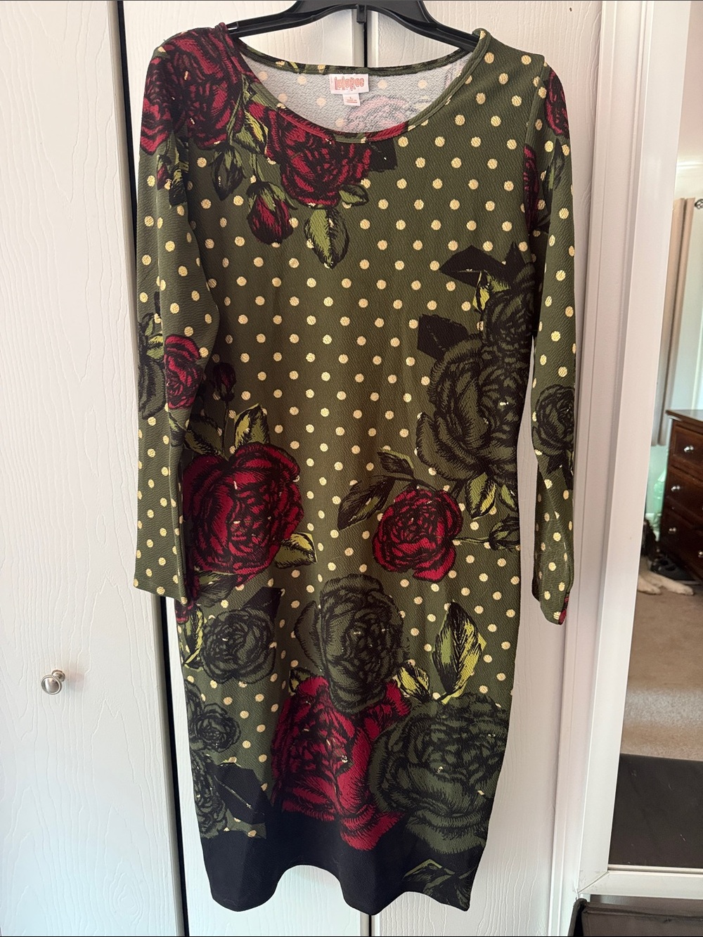 Gorgeous LuLaRoe dress